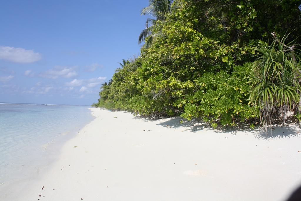 Boutique Diving Dhigurah (Alif Dhaal Atoll)