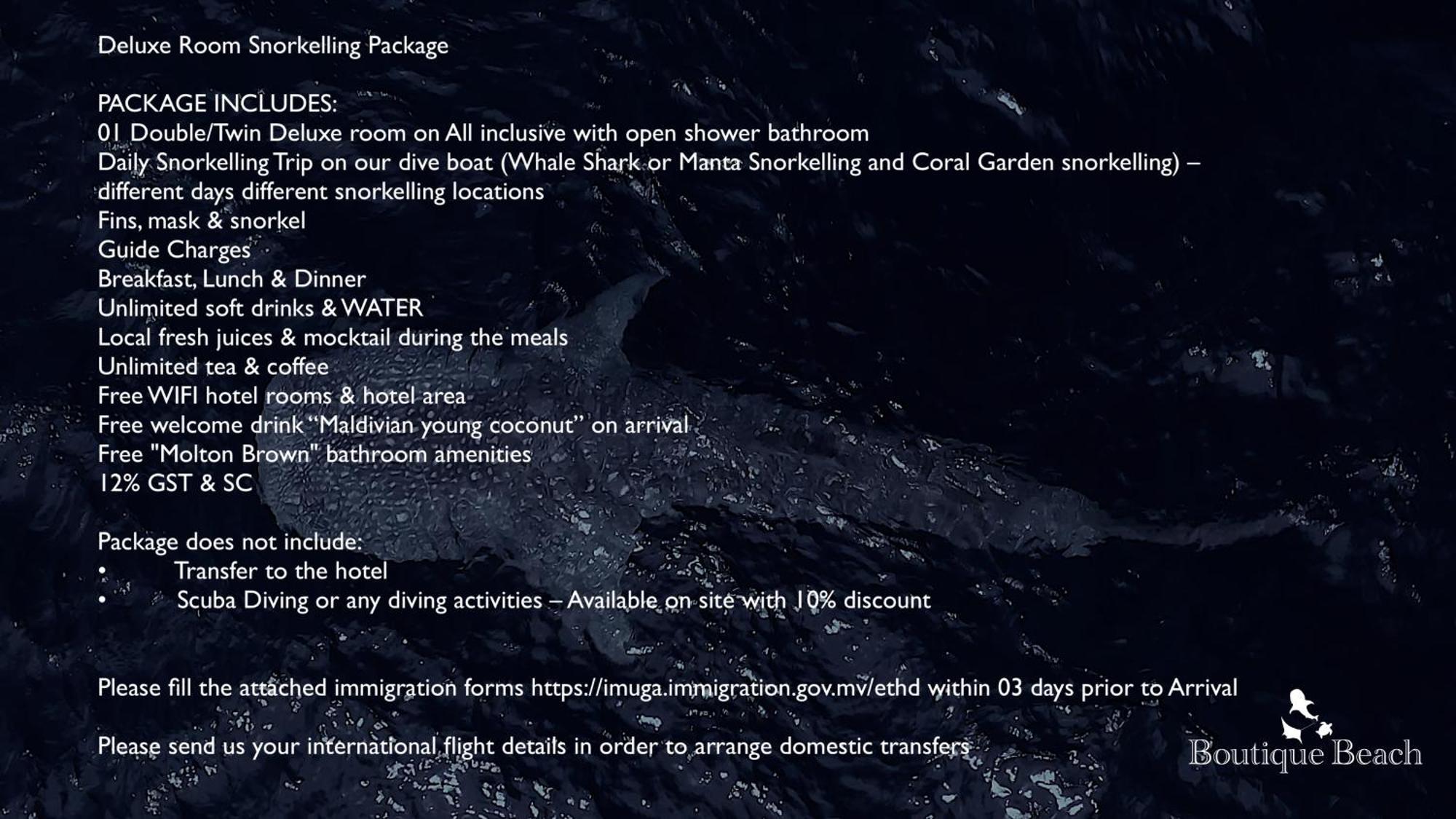 Гостевой дом Boutique Diving 4*