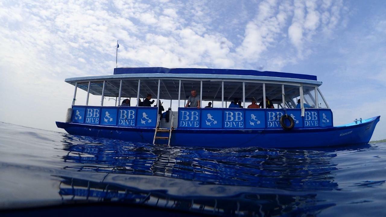 Boutique Diving Гостевой дом Дигура